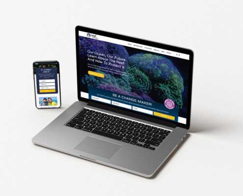 Website Design & Marketing for Tourism Company Reef Connect, Bundaberg